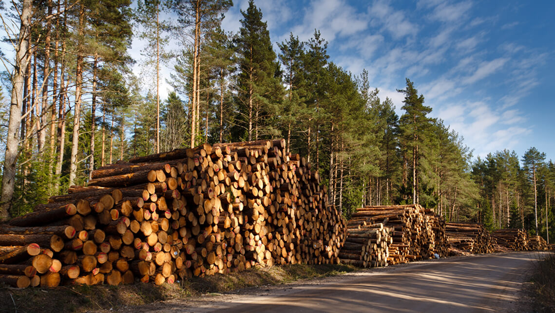 biomass wood heating